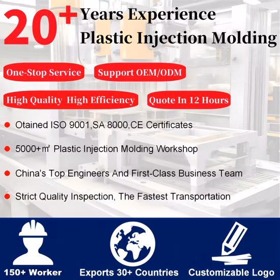 ODM/OEM Custom Grinding Insert Part Insert Molding Mold Parts Injection Molding with Metal Insert